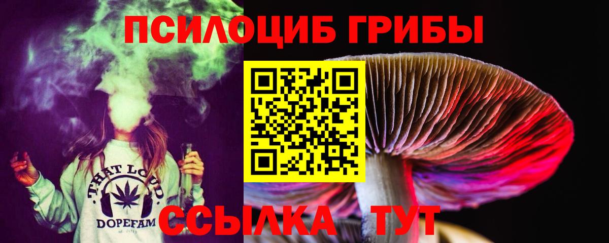 Гурьевск  Галлюциногенные грибы GOLDEN TEACHER  Вход с VPN 